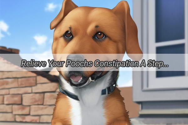 Relieve Your Poochs Constipation A StepbyStep Guide to Gentle Colonic Cleaning for Dogs